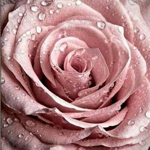 Meet your Posher, Margie